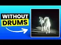 Shit Love - Fat Dog | No Drums (Drumless)
