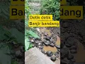 Lagu Banjir bandang di sungai desa karang anyar#banjir#banjirbandang#bencanaalam#shorts#viral#fyp