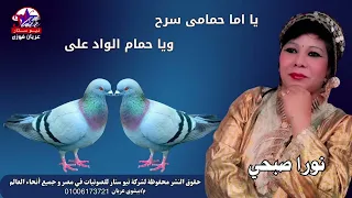 نورا صبحي    يا اما حمامى سرح ويا حمام الواد على دندنها