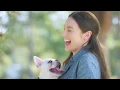 How to Crate Train Your Puppy - You Me Petco