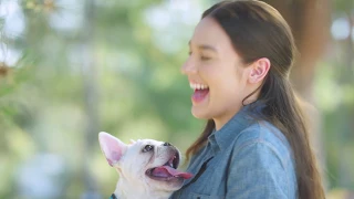 How to Crate Train Your Puppy - You Me Petco