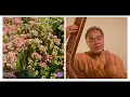 Lagu Pandit Nirmalya Dey vocal dhrupad dhamar Raag:durga