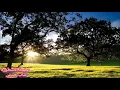 Cheb Nasro hbibi goli Ida Mazl tebghini _شاب نصرو