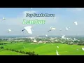 Download Lagu Lembur Kuring II Tembang Lawas II No Copyright