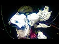 Download Lagu Making Sense of Ghost in the Shell
