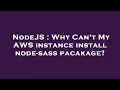 NodeJS Why Can t My AWS instance install node-sass pacakage