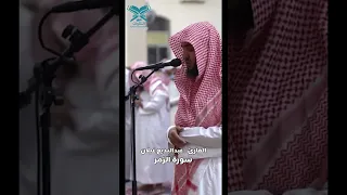 القارئ عبدالبديع غيلان ويوم القيامة ترى الذين كذبوا على الله وجوههم مسودة الزمر عبق التلاوات  القارئ عبدالبديع غيلان ويوم القيامة ترى الذين كذبوا على الله وجوههم مسودة الزمر عبق التلاوات