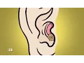 What Is Ear Wax For WebMD