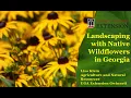 Landscaping with Native Wildflowers in Georgia