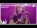 Lagu SYNTHONY - Florence and the Machine 'Spectrum' (Live from New Plymouth)
