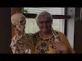 Owl Chiropractic
