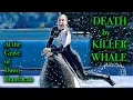 ORCA ATTACK - The Tragic Story of Dawn Brancheau at her gravesite in Illinois