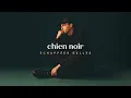 chien noir - Échappées belles (Video lyrics)