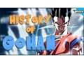 History Of Gohan