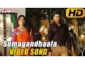 Sumagandhaala Song - Kerintha Songs