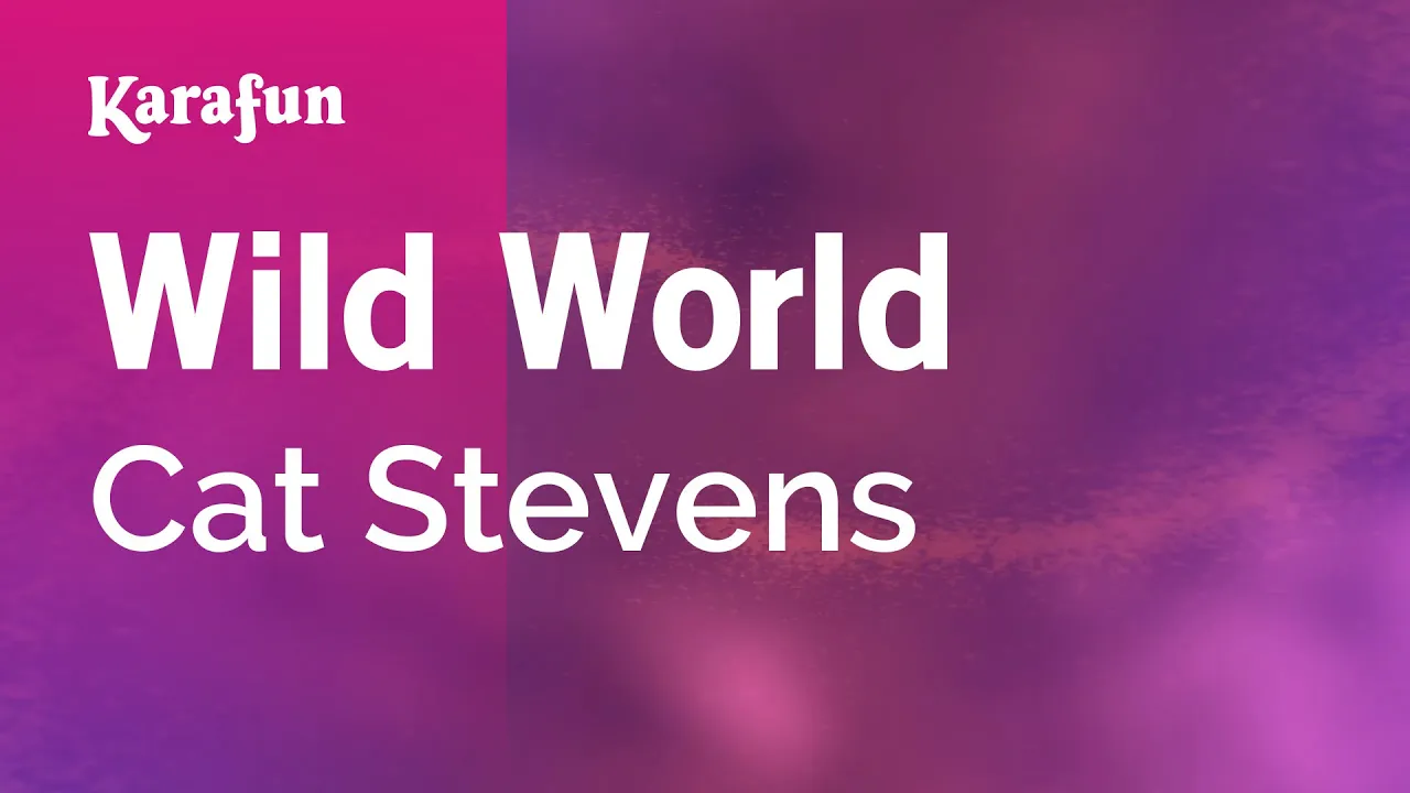 Wild World - Cat Stevens | Karaoke Version | KaraFun