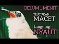 TRUCUKAN BAHAN TRUCUK OMBYOKAN TRUCUK PAUT BISU PASTI BUNYI DENGAR SUARA TRUCUK GACOR NGALAS INI ‼️
