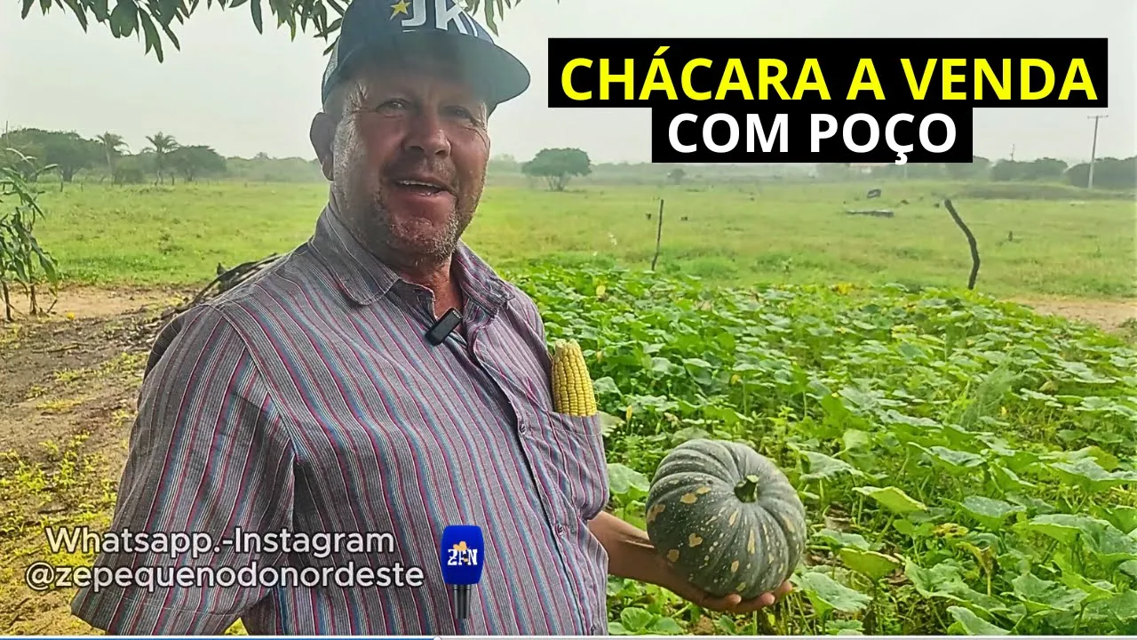CHÁCARA A VENDA NO NORDESTE COM POÇO E PES DE FRUTAS #chácara