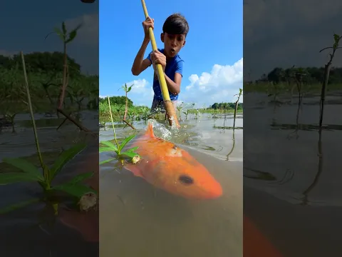Village little boy amazing fishing #tetafishing #fishingvideo #shorts