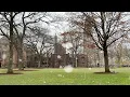 Yale School of Public Health 2021 Holiday Card
