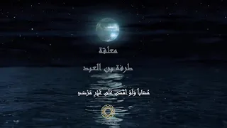 معلقة طرفة بن العبد مع الكلمات  معلقة طرفة بن العبد مع الكلمات