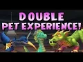 Wizard101 DOUBLE PET LIVE STREAM