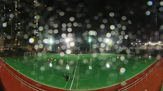                            دندنها