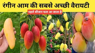 रंगीन आम की सबसे बेहतरीन वैरायटी | Top Color Mango Varieties in India | Home Garden