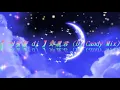 【 甜蜜蜜 dj 】鄧麗君 Dj Candy Mix 附歌詞