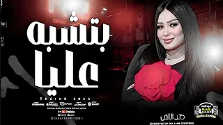 موال بتشبه عليا وهيجيلي موجوع 2025 دنيا الالفي و عبسلام 