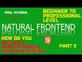 HTML Tutorial Introduction to h1-h6 and p Tags