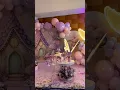 Fairy theme grand birt ay party