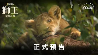 國家地理及迪士尼鉅獻《#獅王：榮耀之戰》正式預告 | Disney+ 8月20日 獨家上線