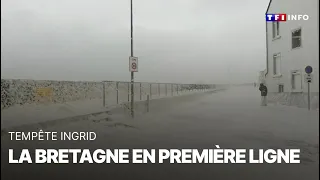 🔴 Tempête Ingrid : le Bretagne en première ligne｜TF1 INFO