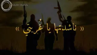 اناشيد جهادية نشدتها يا غربتي نشيد ولى اروع 