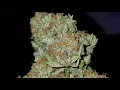 PLATINUM BUBBA KUSH STRAIN WAKE AND BAKE STYLE