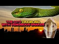 Hunting VIPERS on the streets of BANGKOK
