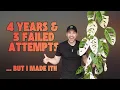 Growth Journey with a Twist - Variegated Monstera adansonii