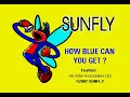 B B  King   How Blue Can You Get Karaoke
