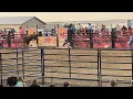 PROFESSIONAL CHAMPIONSHIP BULLRIDERS 2024 at Kane County fair IL