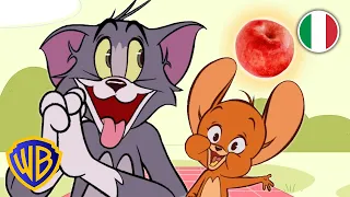 Riusciranno Tom e Jerry a trovare la mela PERFETTA? 🍎 | Impara con Tom e Jerry | @WBKidsItaliano