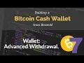 Bitcoin Cash Wallet Coding Tutorial Advanced Wit rawal Part 7
