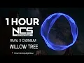 [1 HOUR] Rival x Cadmium - Willow Tree (feat. Rosendale) - Dubstep - NCS - Copyright Free Music