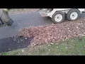 Lehigh Valley Leaf Collection Ep 5 - Salisbury Township PA