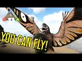The New Best Shoulder Pet Sinomacrops Guide Ark Survival Evolved