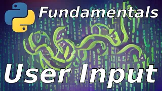 User Input Python Basics 11