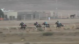 عقد اللؤلؤ        دندنها