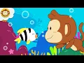 Download Lagu Lagu Anak Anak | Ikan