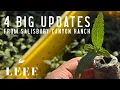 4 Big Updates from Salisbury Canyon Ranch