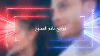 تشيز كيك انتي ياربي دندنها